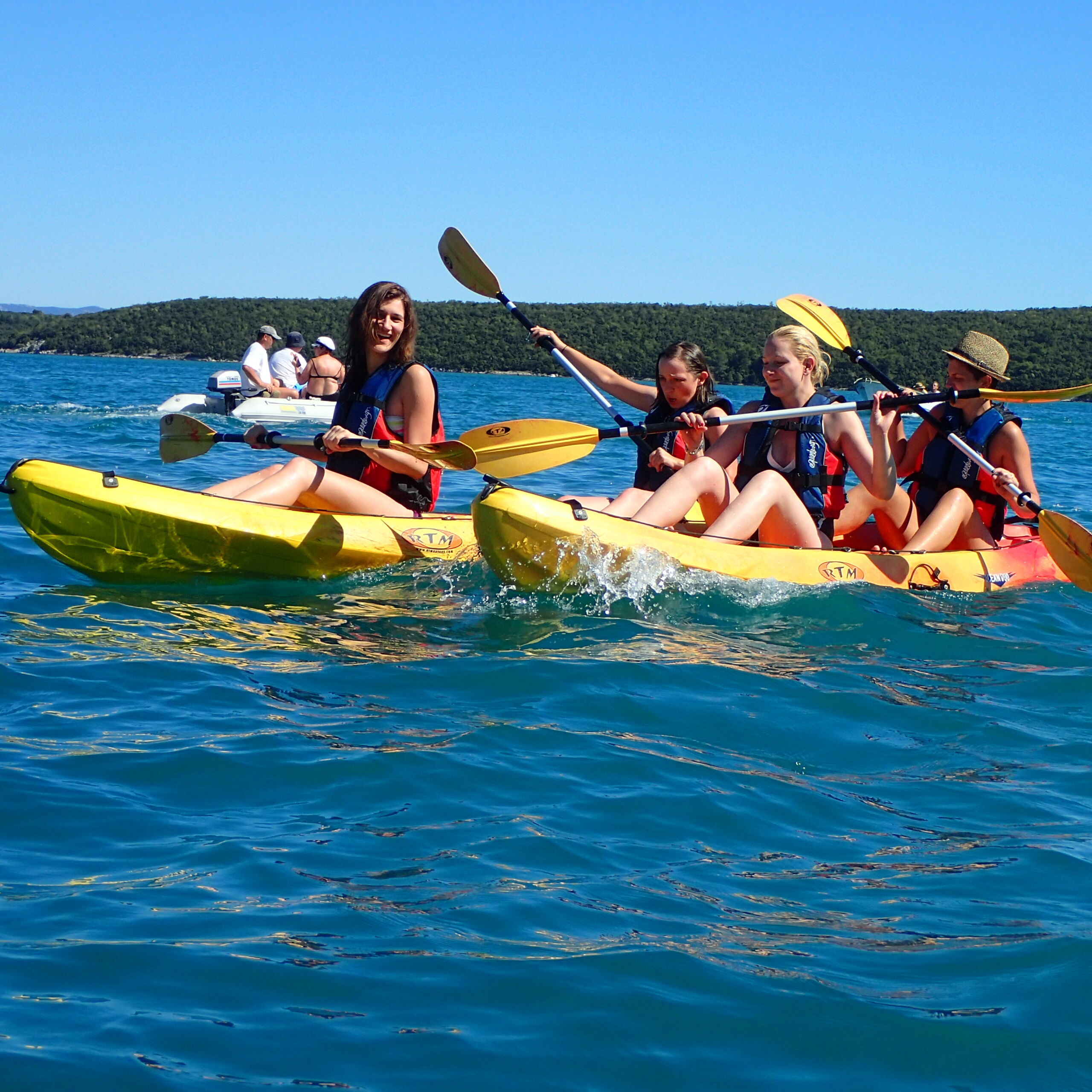 KAYAK Safari