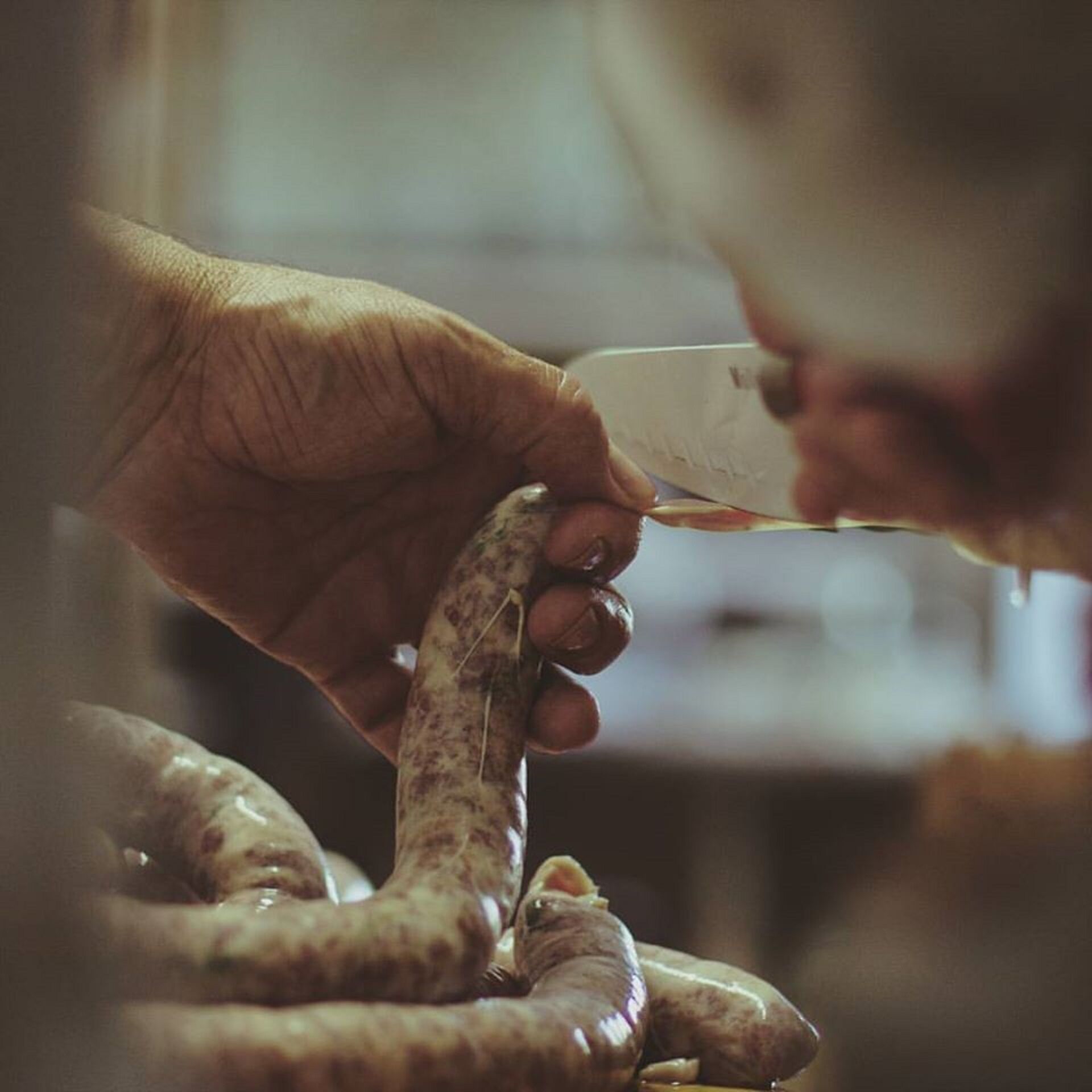 Taste of Istria