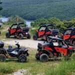 BUGGY safari