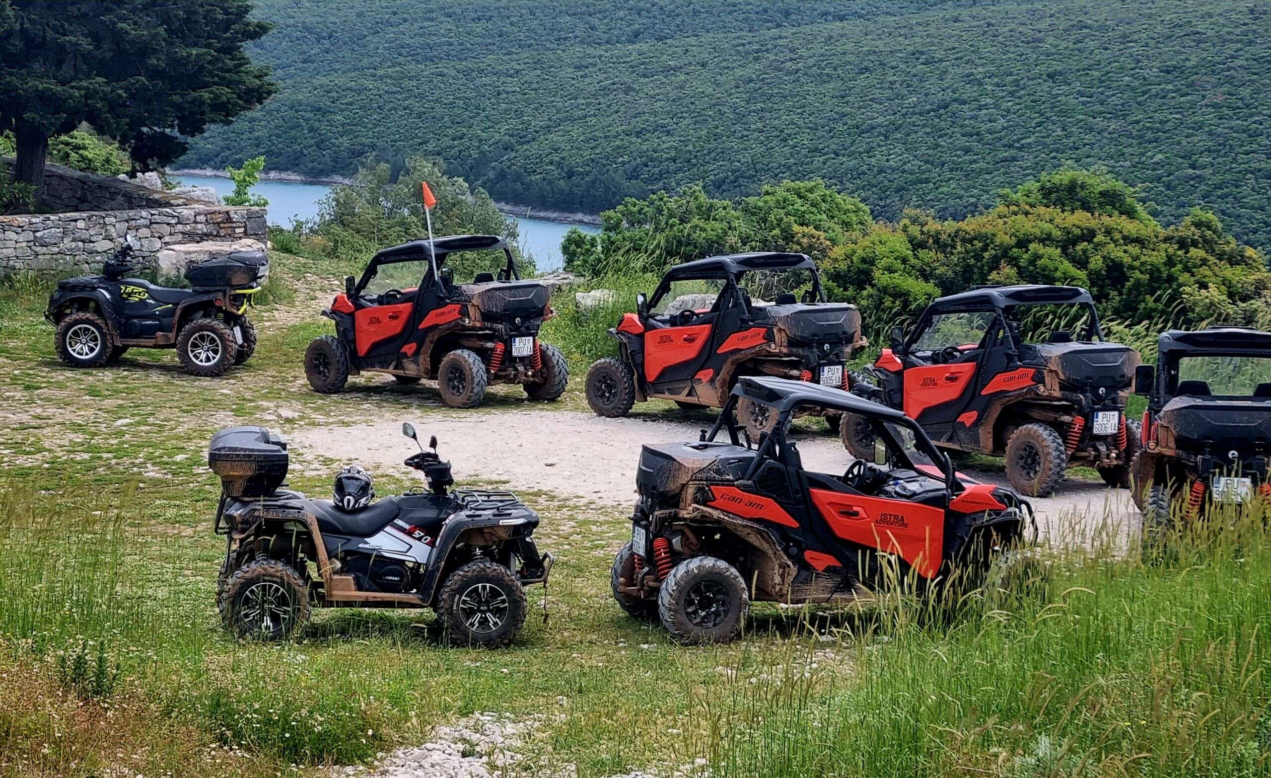 BUGGY safari