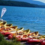 KAYAK Safari