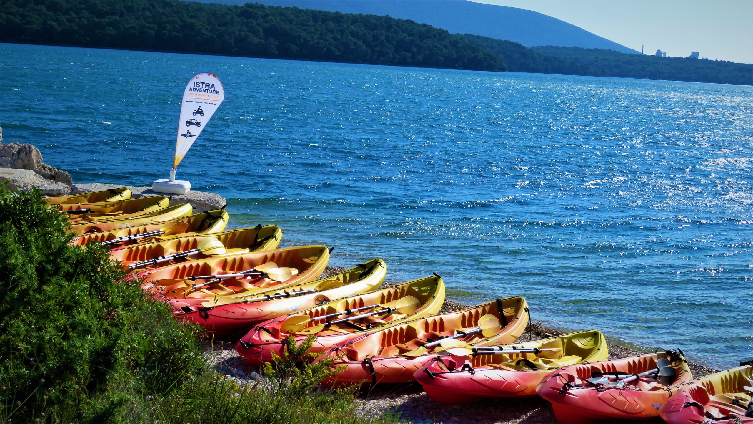 KAYAK Safari