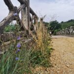 Wonderful walking path – Bay Blaz
