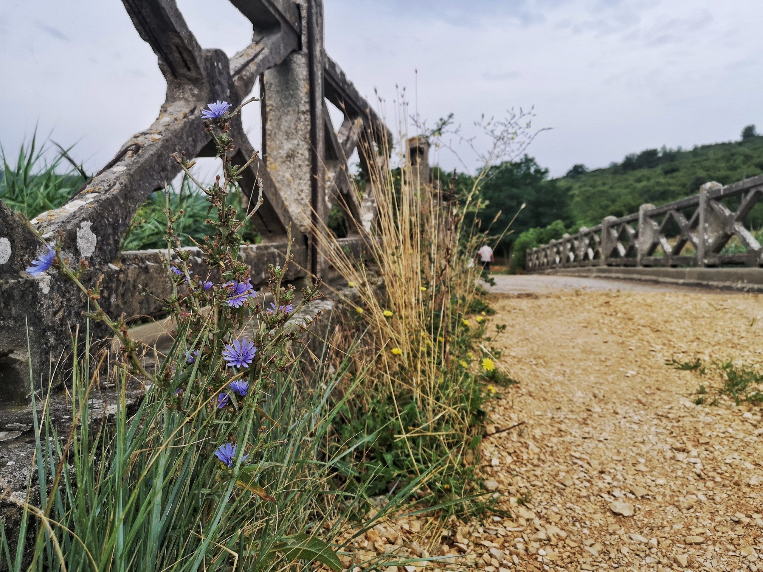 Wonderful walking path – Bay Blaz