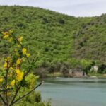 Wonderful walking path – Bay Blaz