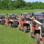 BUGGY safari