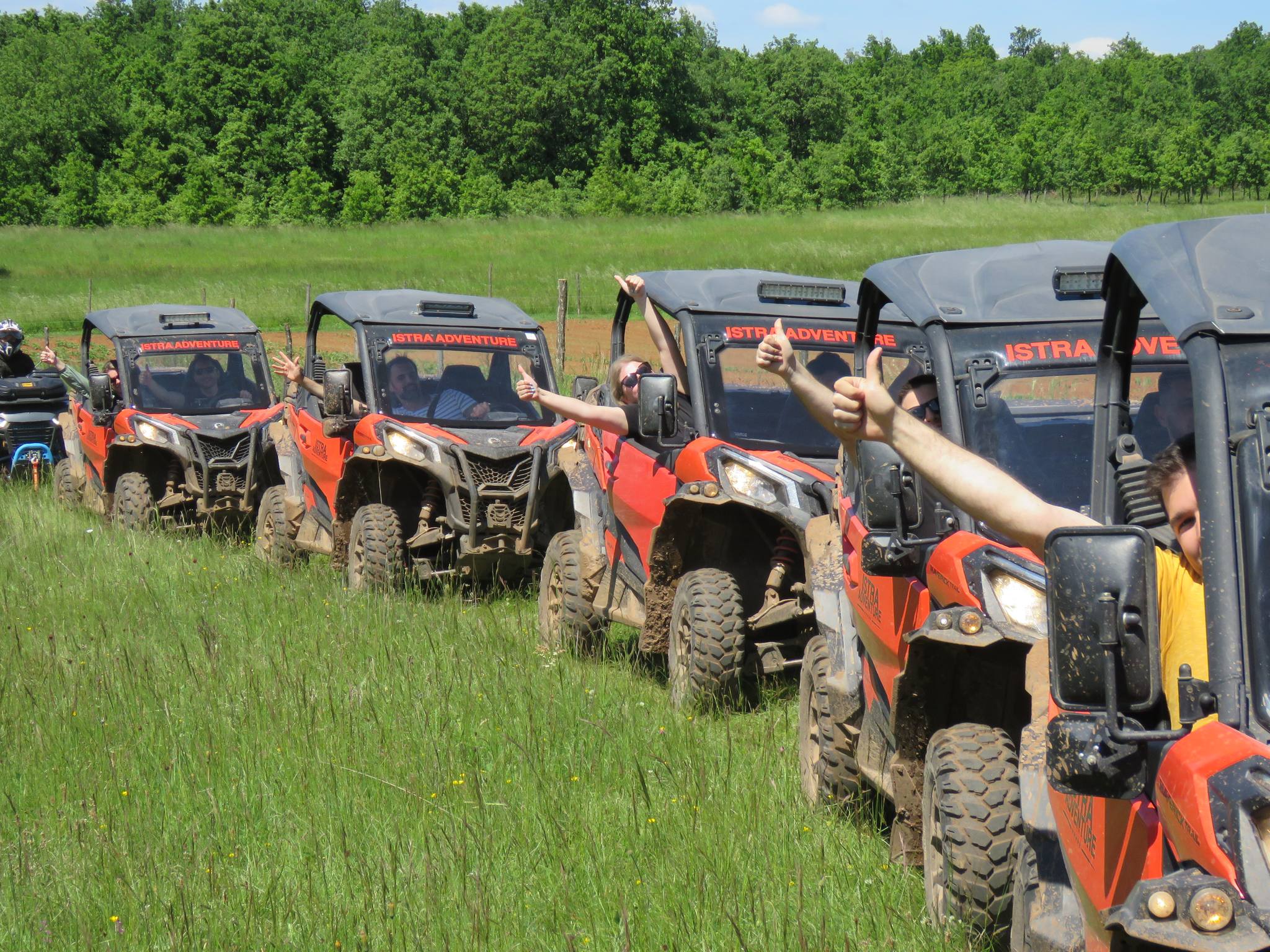 BUGGY safari