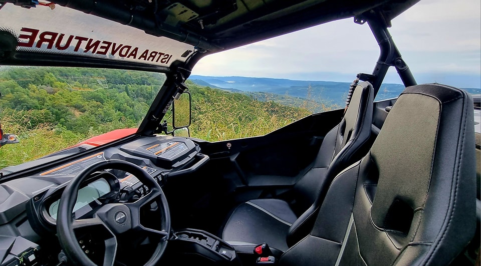 BUGGY safari