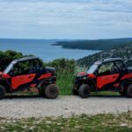 BUGGY safari