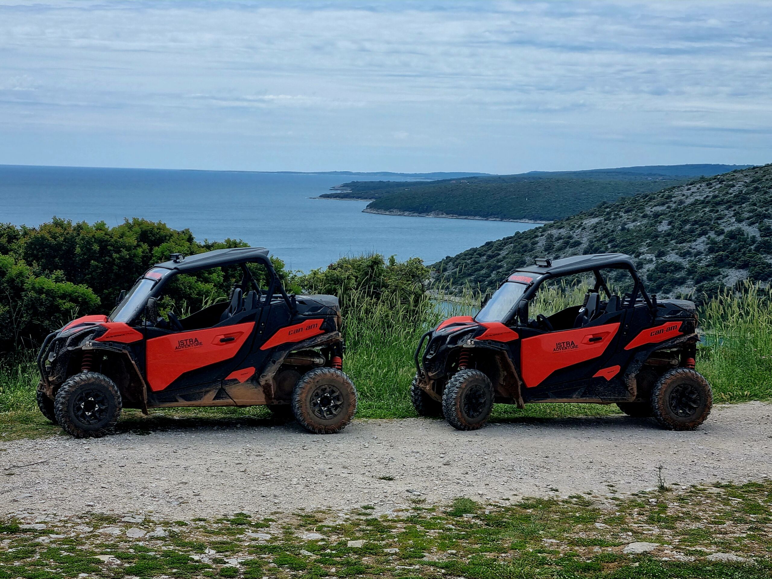 BUGGY safari