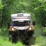 BUGGY safari