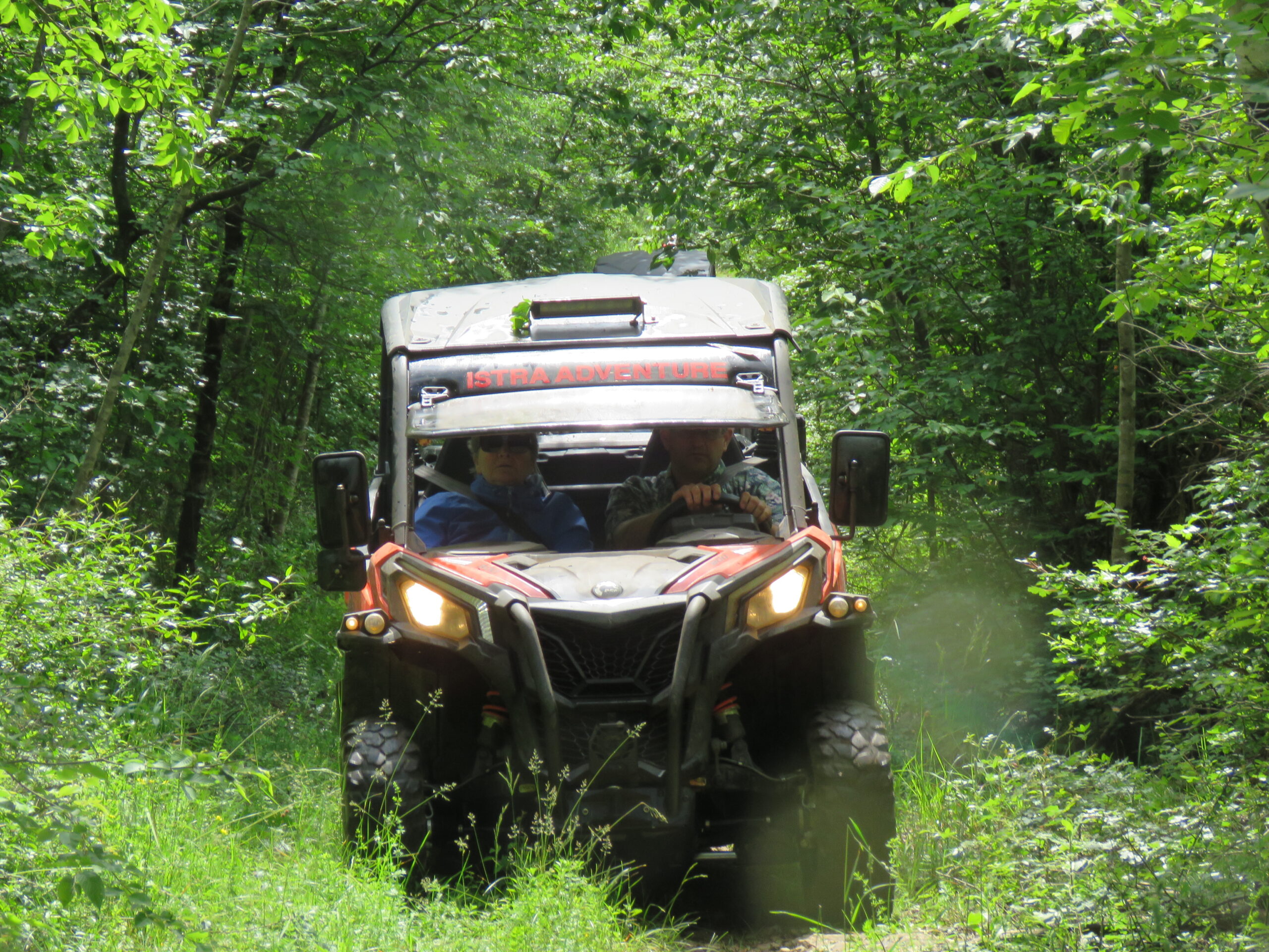 BUGGY safari