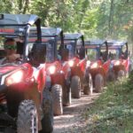 BUGGY safari