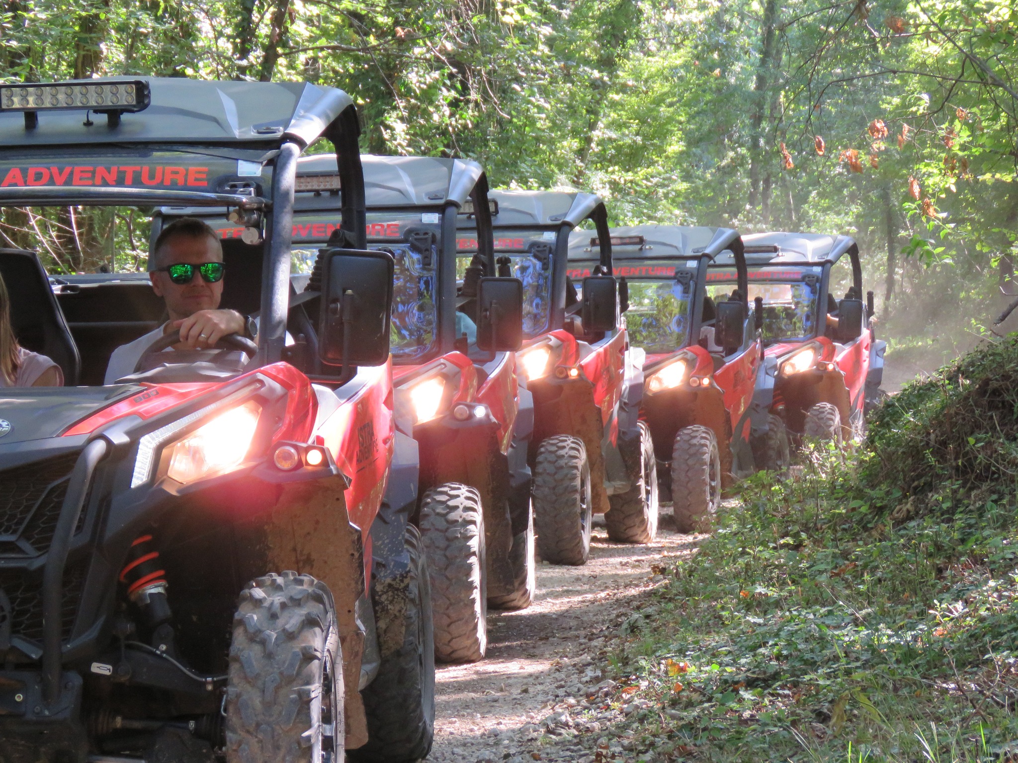 BUGGY safari