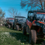 Buggy family Tour