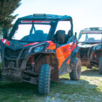 BUGGY safari