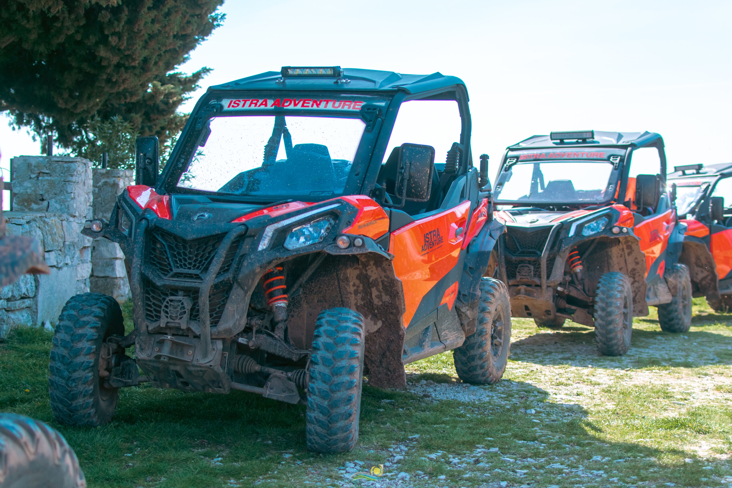 BUGGY safari