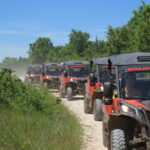 BUGGY Safari