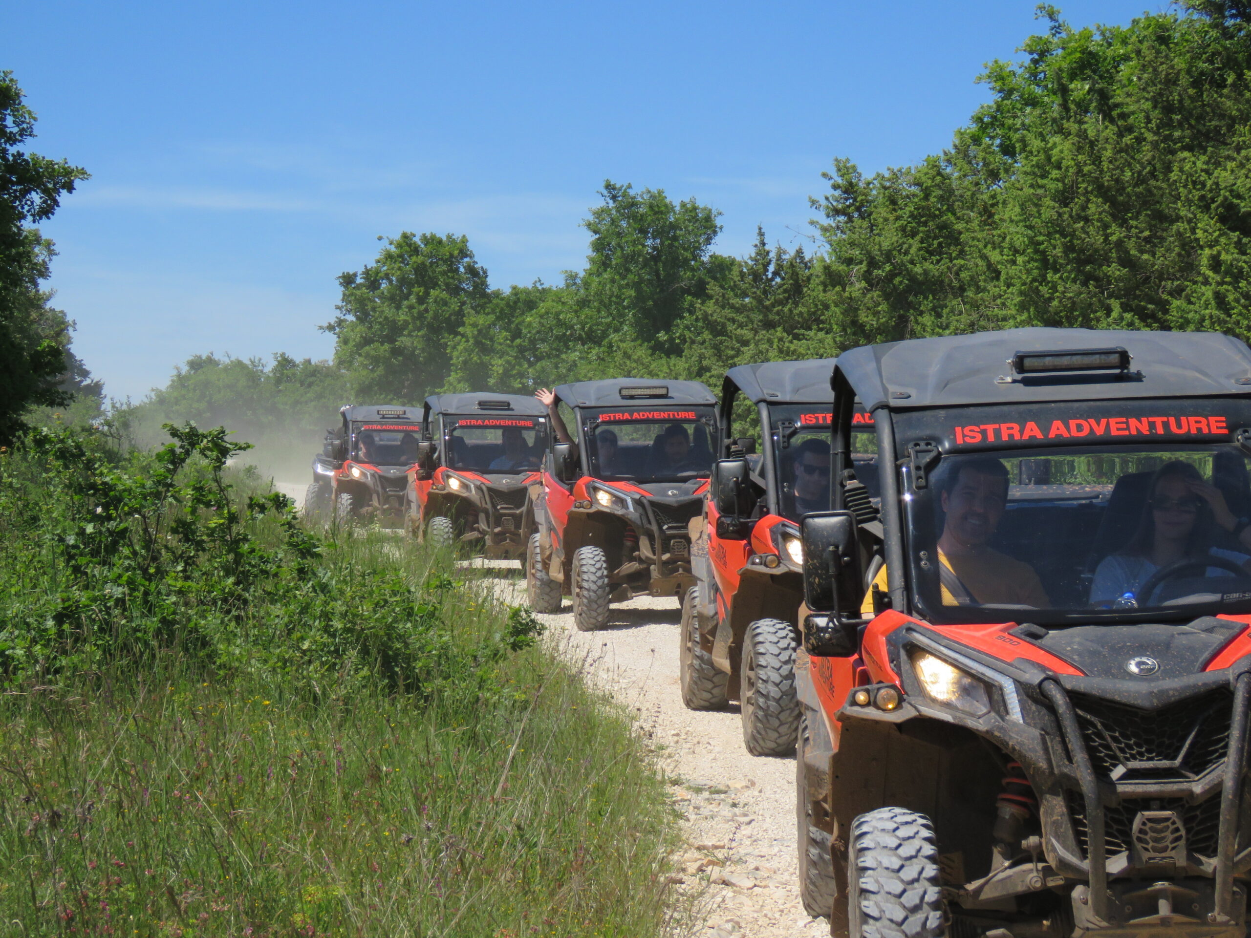 BUGGY Safari